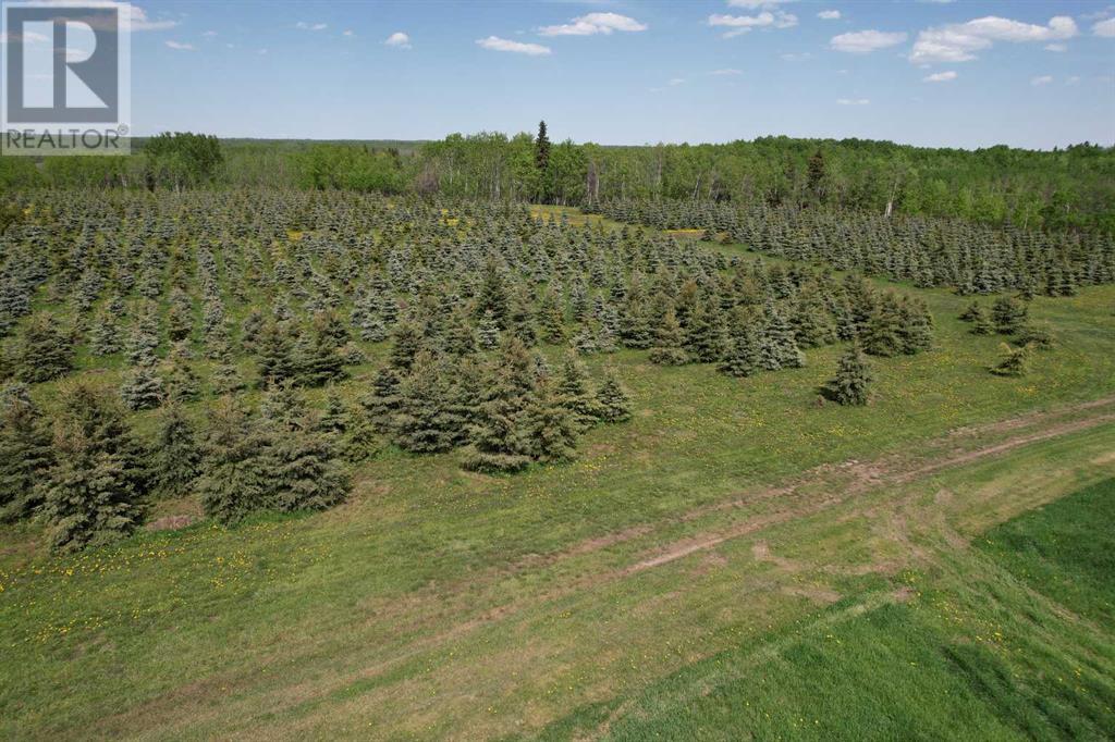 62 Range Road, Rural Grande Prairie No. 1, Alberta  T0H 3C0 - Photo 7 - A2216683