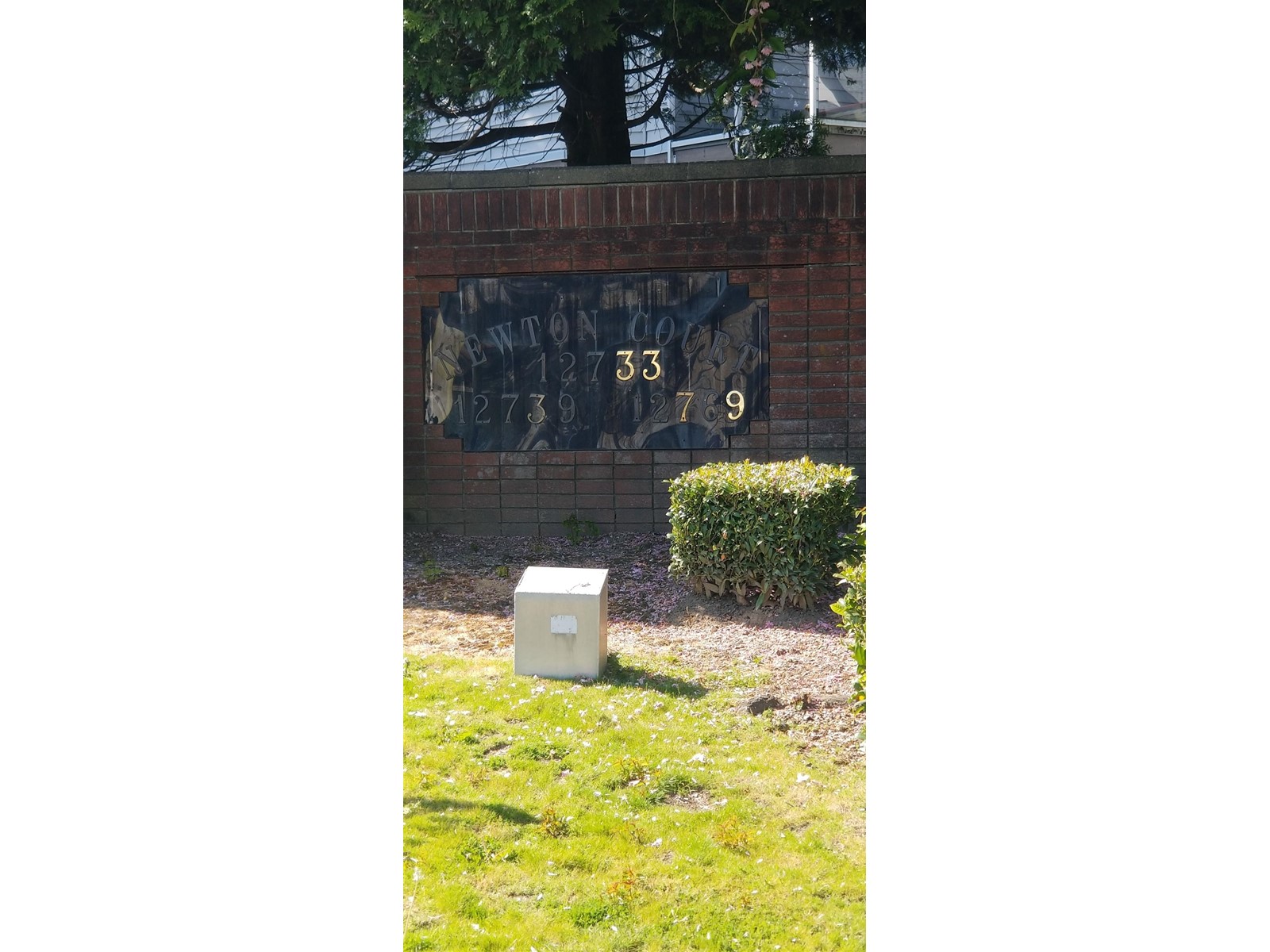 Property at 308 12733 72 AVENUE image 2