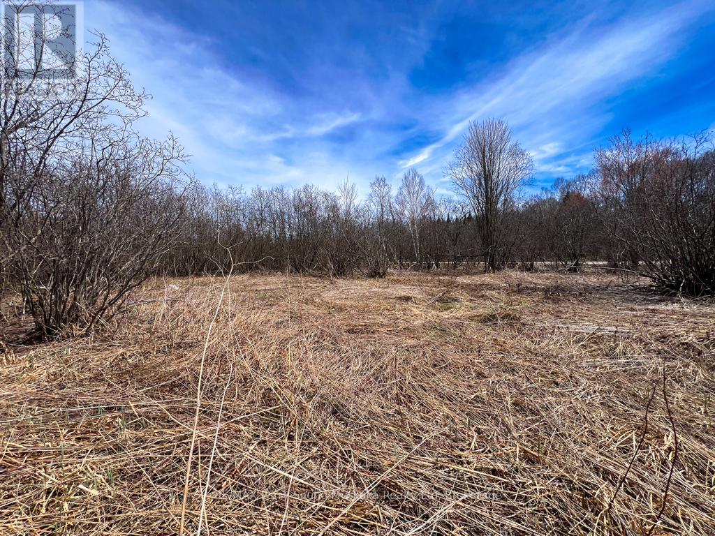 Lot 16 Patrick Street, Magnetawan, Ontario  P0A 1P0 - Photo 13 - X12120207