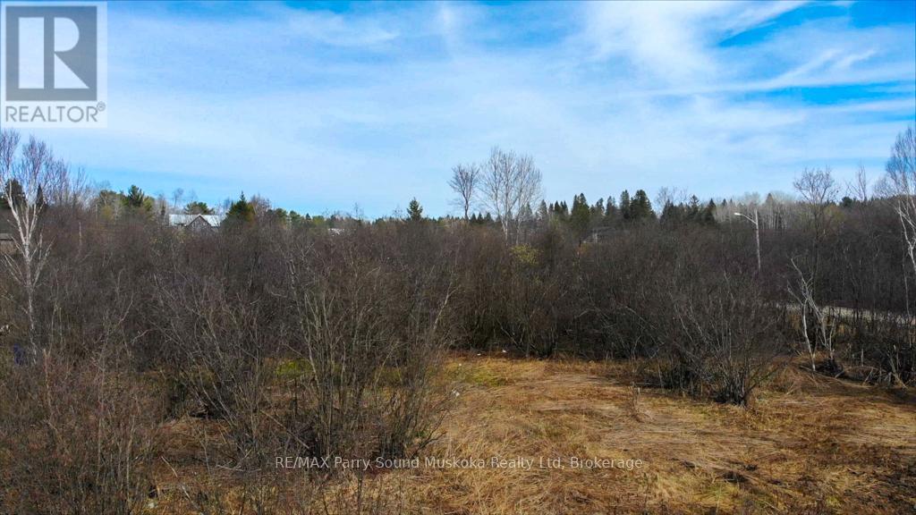 Lot 16 Patrick Street, Magnetawan, Ontario  P0A 1P0 - Photo 9 - X12120207