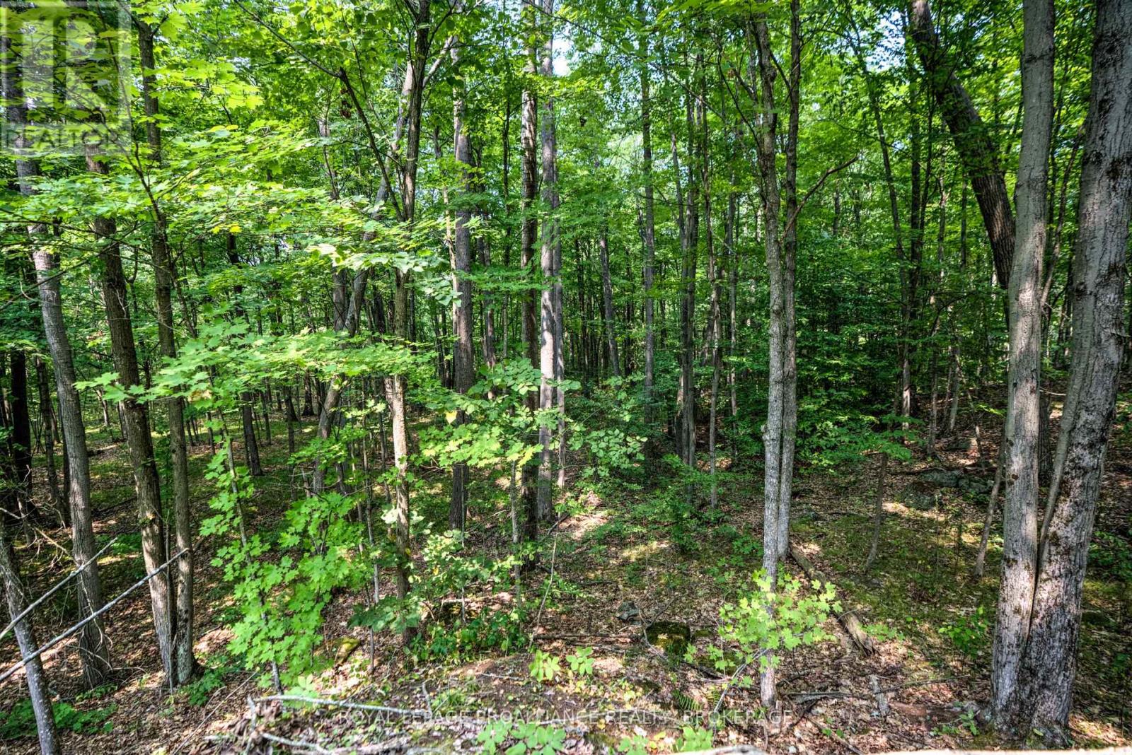 568 Lyndhurst Road, Leeds And The Thousand Islands, Ontario  K0E 1N0 - Photo 11 - X12120271