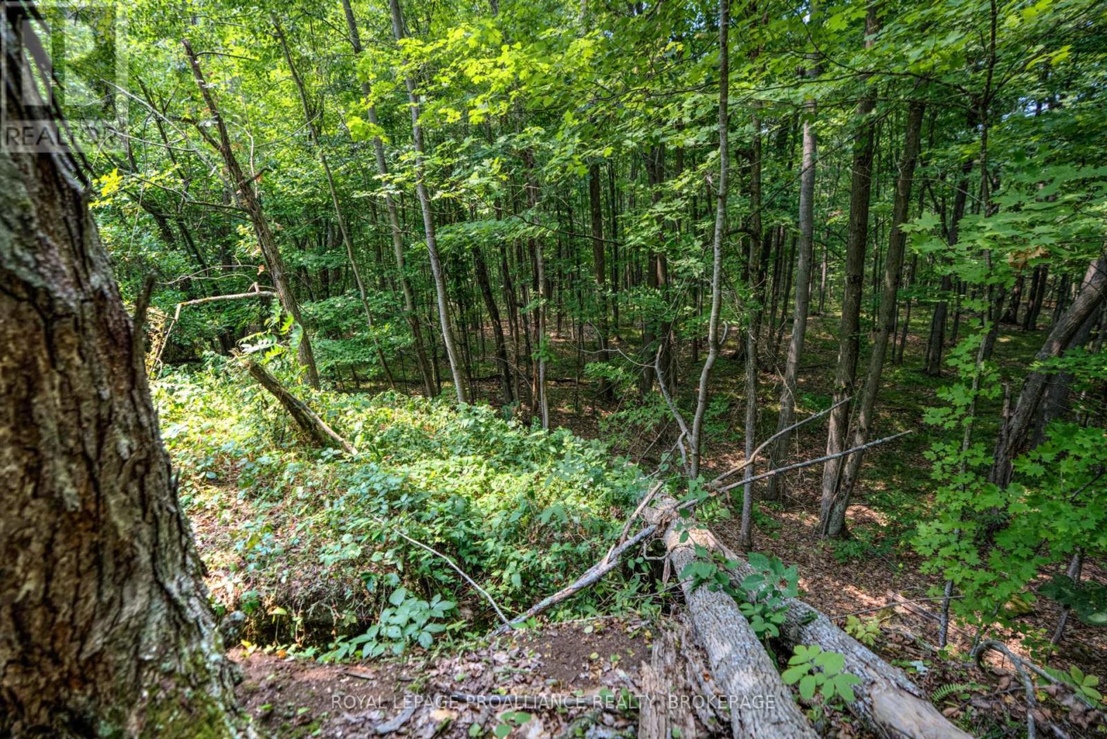 568 Lyndhurst Road, Leeds And The Thousand Islands, Ontario  K0E 1N0 - Photo 12 - X12120271