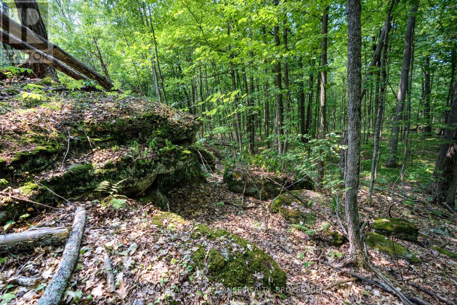 568 Lyndhurst Road, Leeds And The Thousand Islands, Ontario  K0E 1N0 - Photo 13 - X12120271