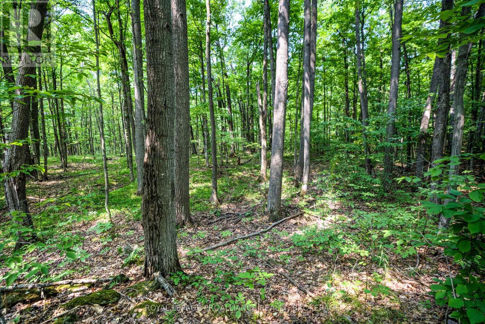 568 Lyndhurst Road, Leeds And The Thousand Islands, Ontario  K0E 1N0 - Photo 15 - X12120271