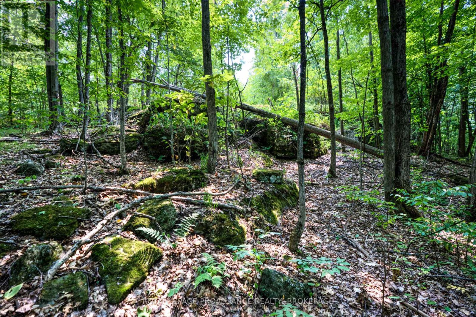 568 Lyndhurst Road, Leeds And The Thousand Islands, Ontario  K0E 1N0 - Photo 16 - X12120271