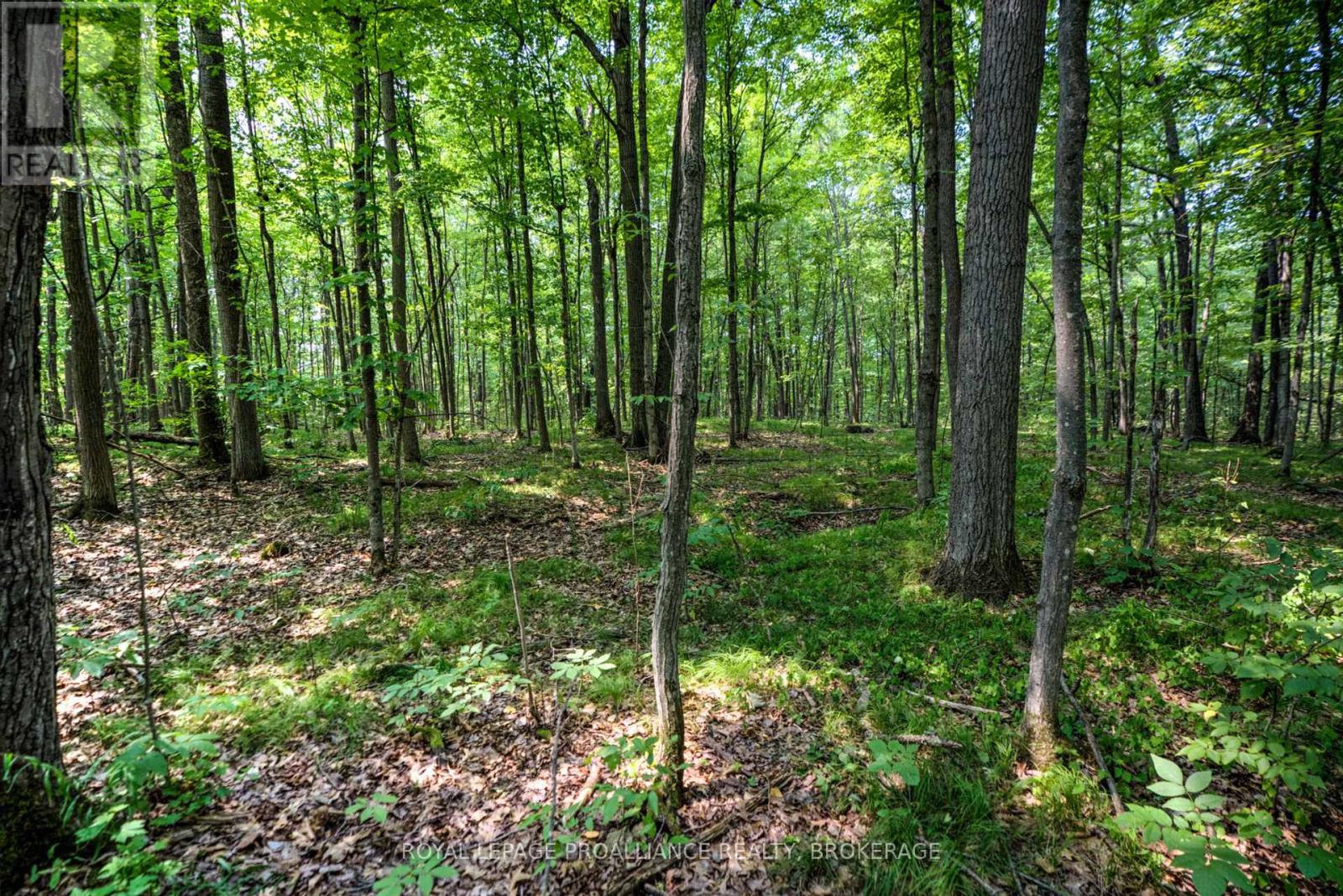 568 Lyndhurst Road, Leeds And The Thousand Islands, Ontario  K0E 1N0 - Photo 17 - X12120271