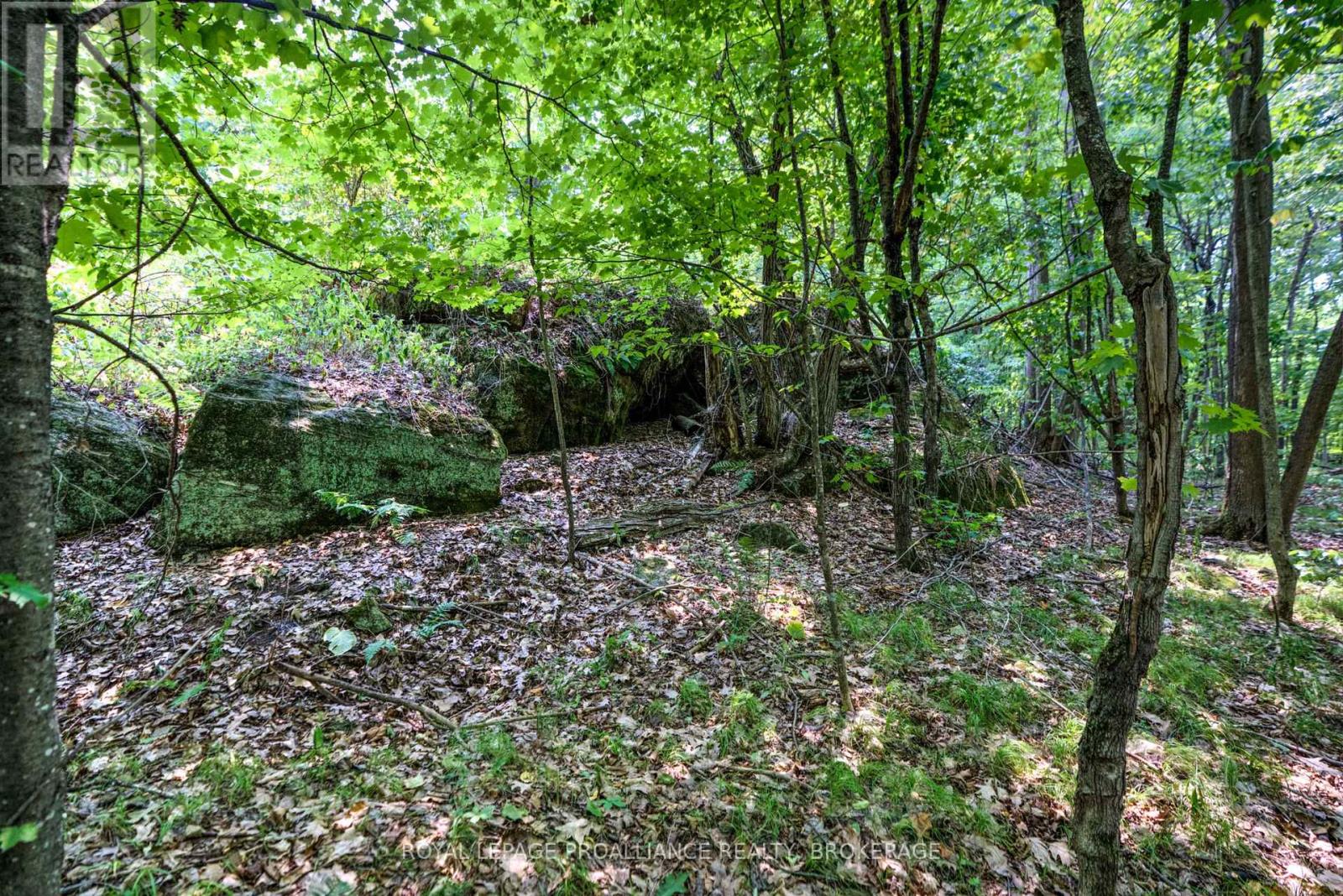 568 Lyndhurst Road, Leeds And The Thousand Islands, Ontario  K0E 1N0 - Photo 18 - X12120271