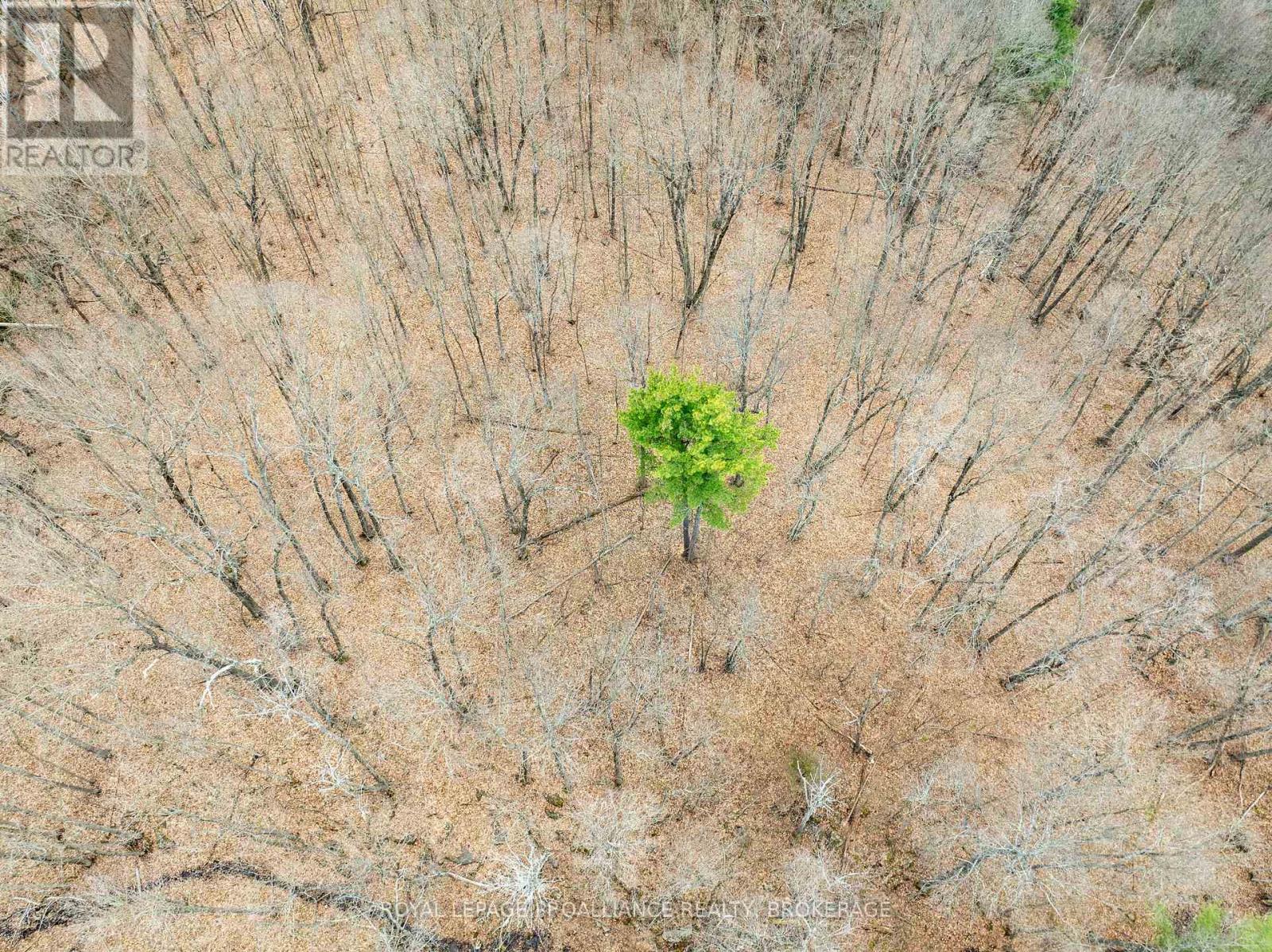 568 Lyndhurst Road, Leeds And The Thousand Islands, Ontario  K0E 1N0 - Photo 20 - X12120271