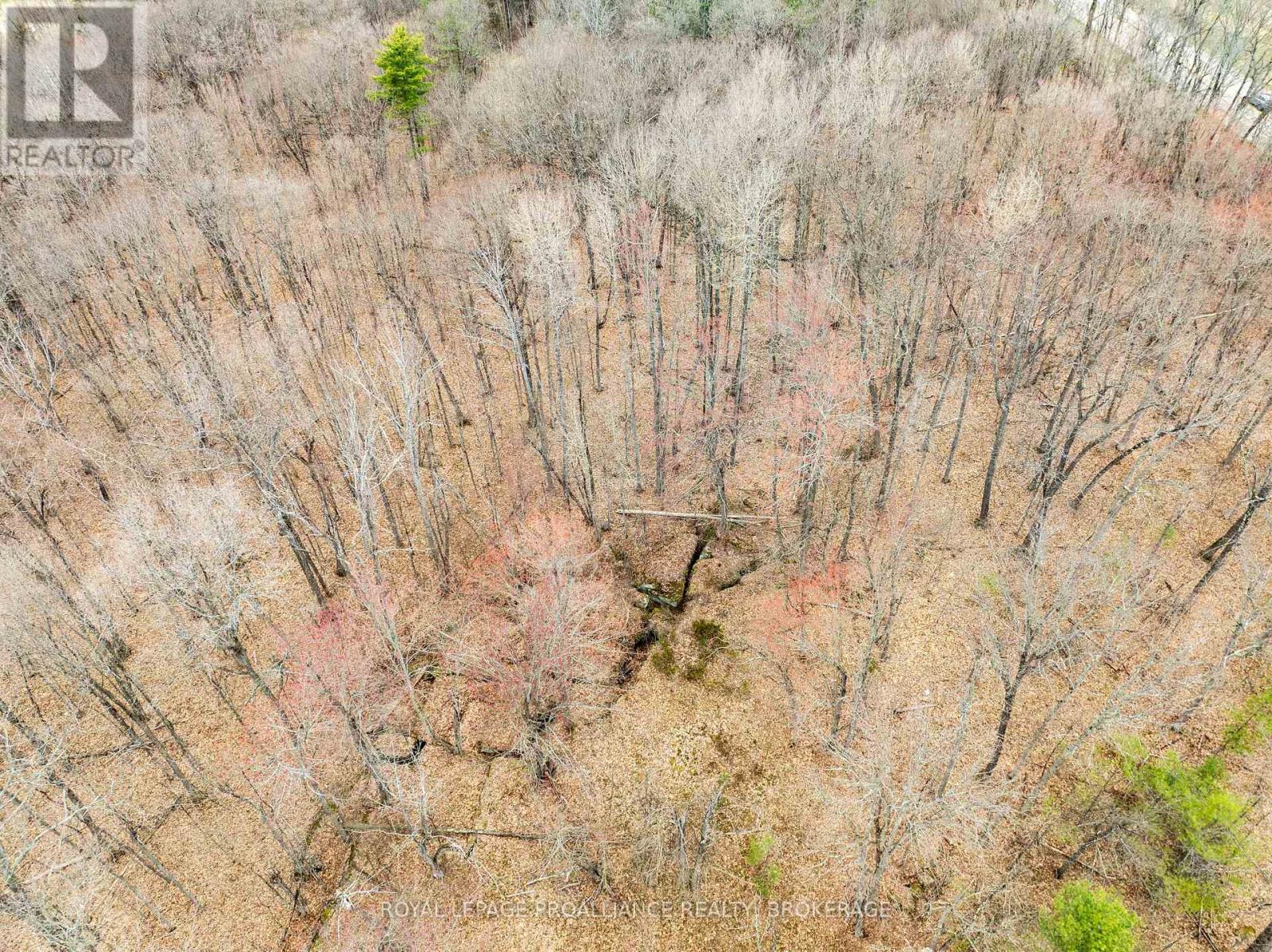 568 Lyndhurst Road, Leeds And The Thousand Islands, Ontario  K0E 1N0 - Photo 21 - X12120271