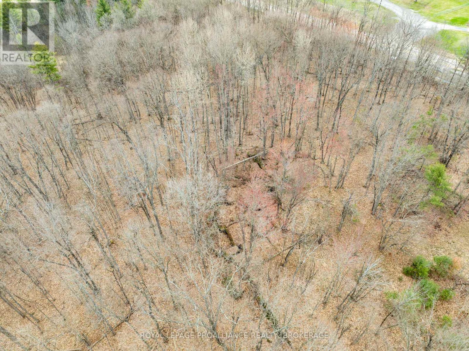 568 Lyndhurst Road, Leeds And The Thousand Islands, Ontario  K0E 1N0 - Photo 32 - X12120271