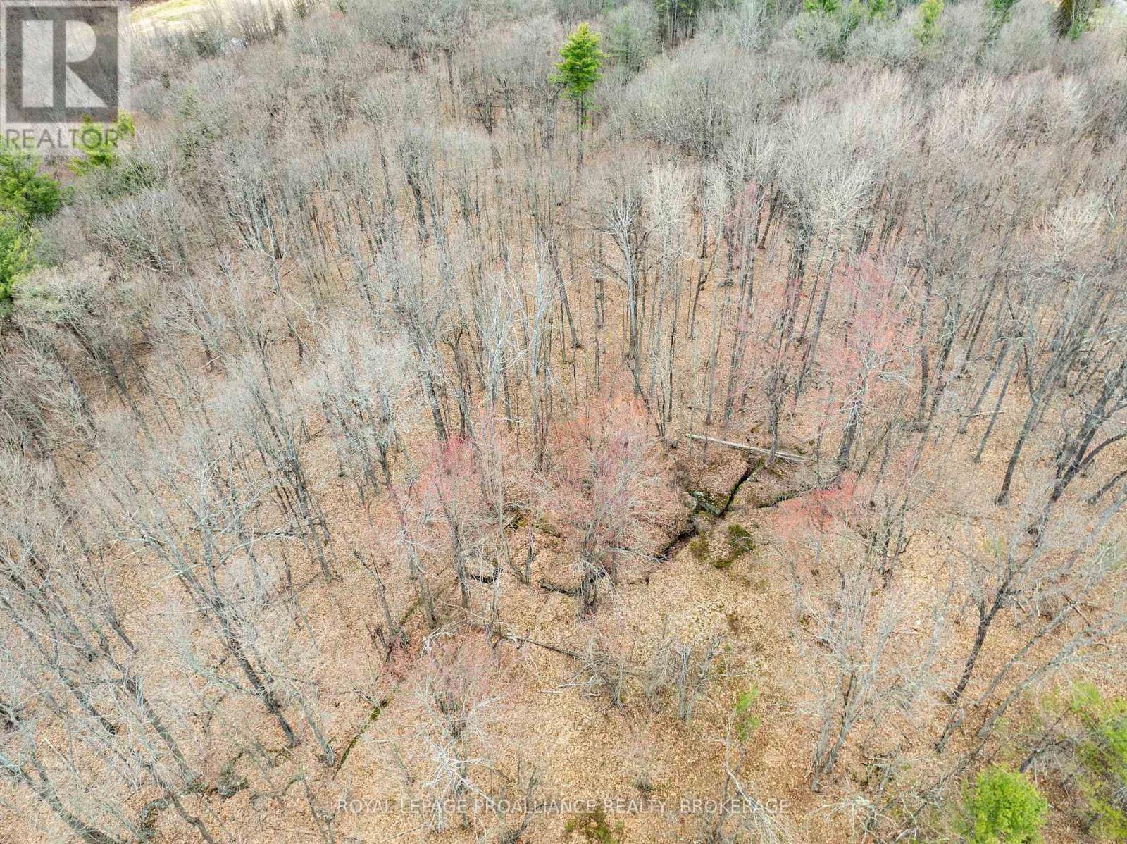 568 Lyndhurst Road, Leeds And The Thousand Islands, Ontario  K0E 1N0 - Photo 33 - X12120271