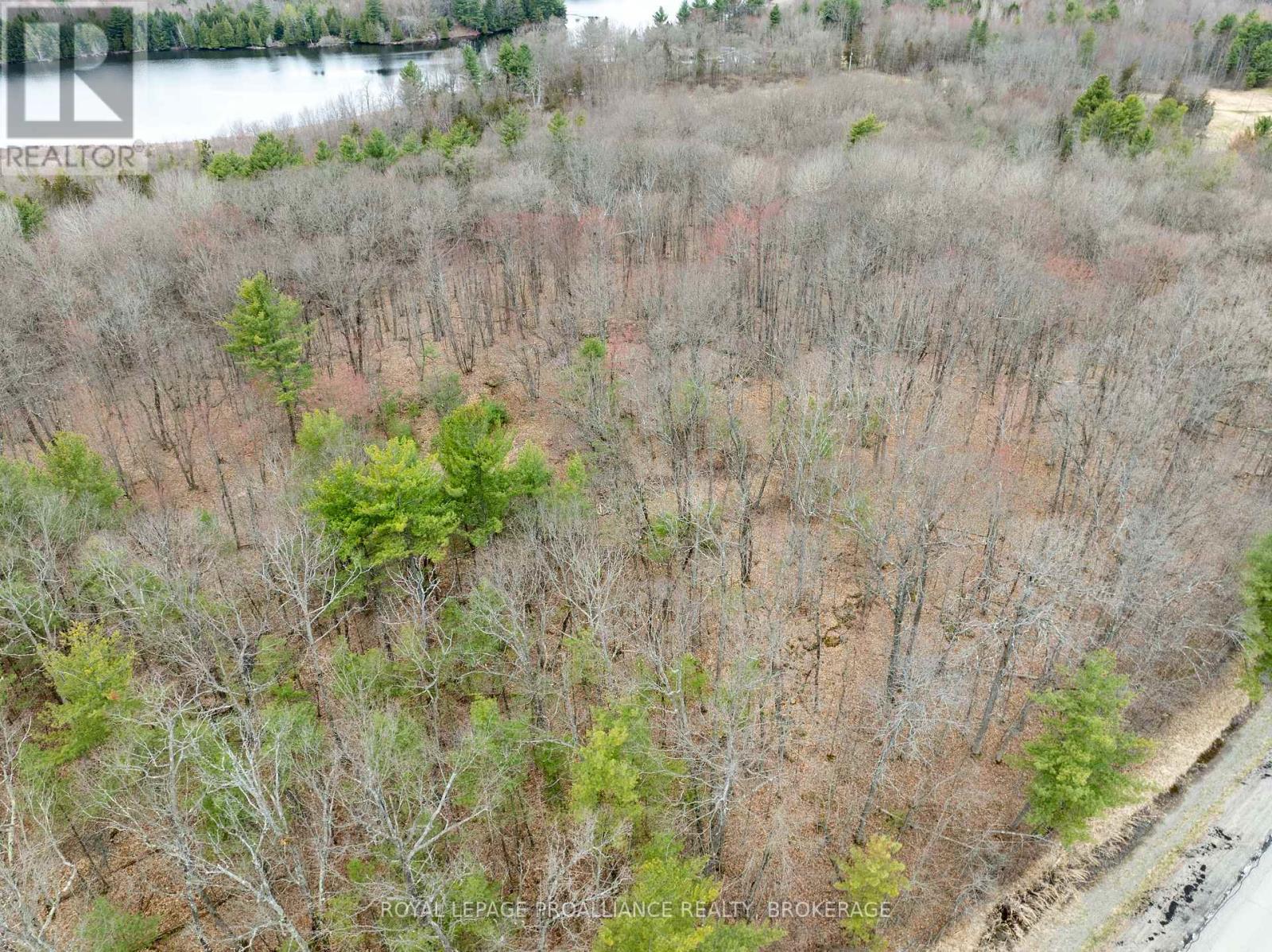 568 Lyndhurst Road, Leeds And The Thousand Islands, Ontario  K0E 1N0 - Photo 36 - X12120271