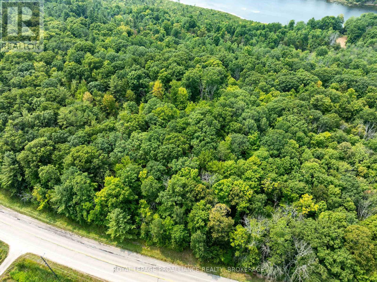 568 Lyndhurst Road, Leeds And The Thousand Islands, Ontario  K0E 1N0 - Photo 8 - X12120271