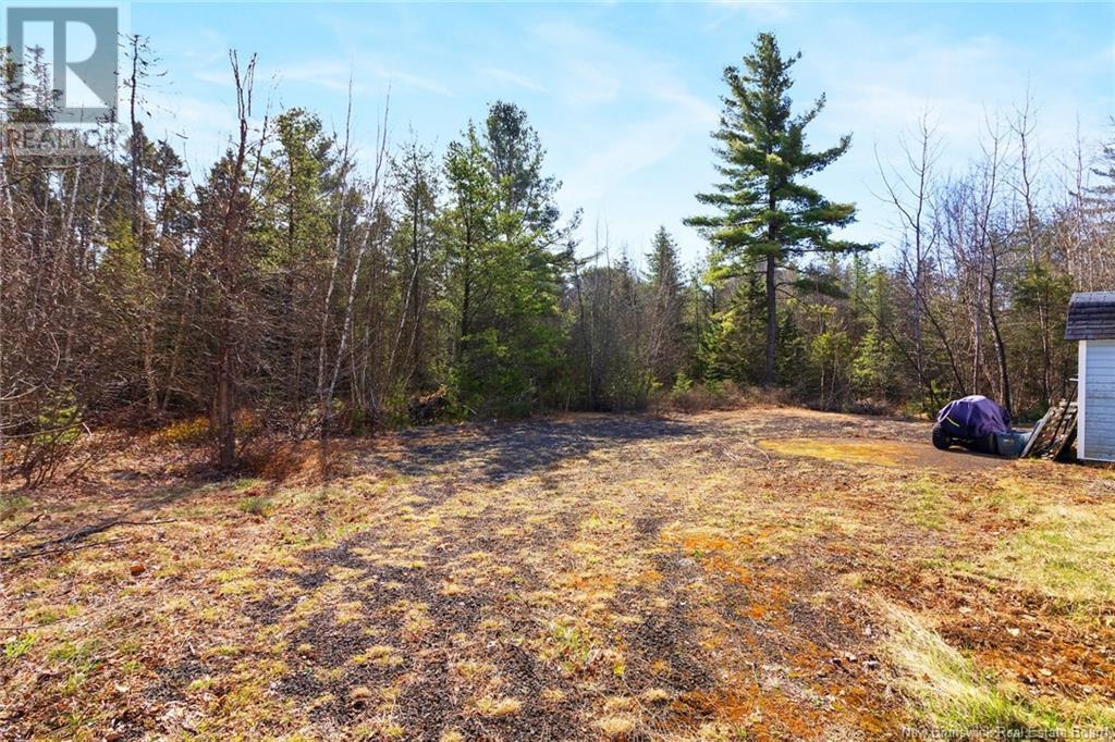 52 Mcleod Avenue, Chipman, New Brunswick  E4A 2B8 - Photo 21 - NB111406