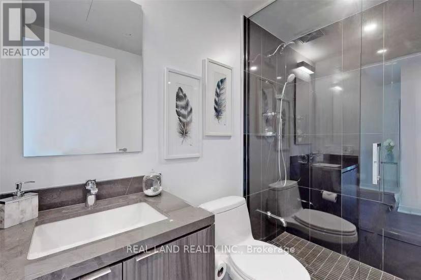 2811 - 125 Blue Jays Way, Toronto, Ontario  M5V 0N5 - Photo 10 - C12120123