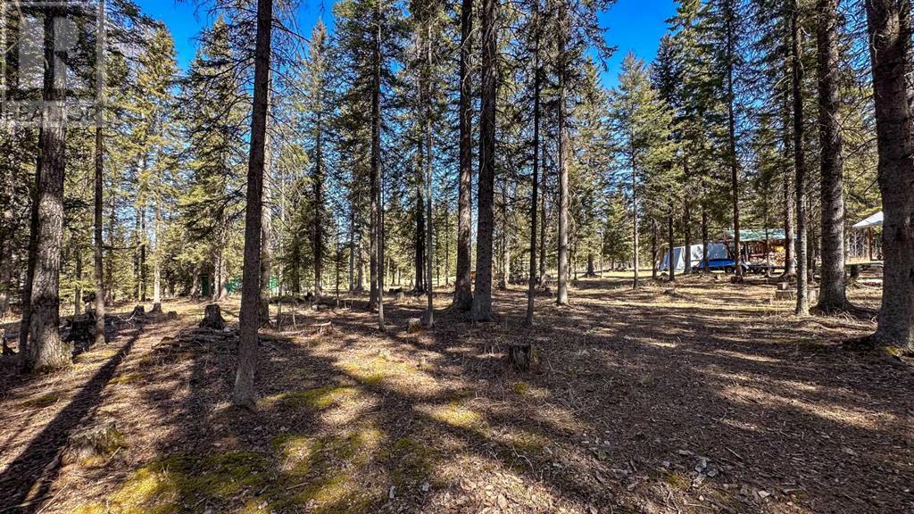 27 32545 Range Road 52, Rural Mountain View County, Alberta  T0M 1X0 - Photo 33 - A2186590