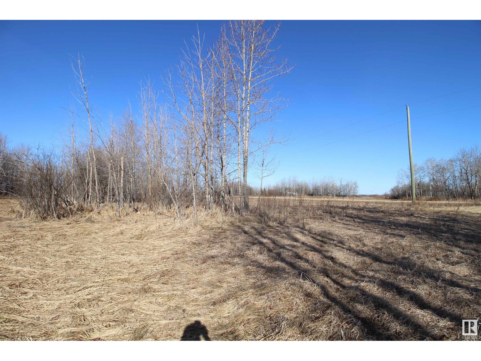 #5 59229 Rg Rd 265, Rural Westlock County, Alberta  T7P 2P6 - Photo 13 - E4434077