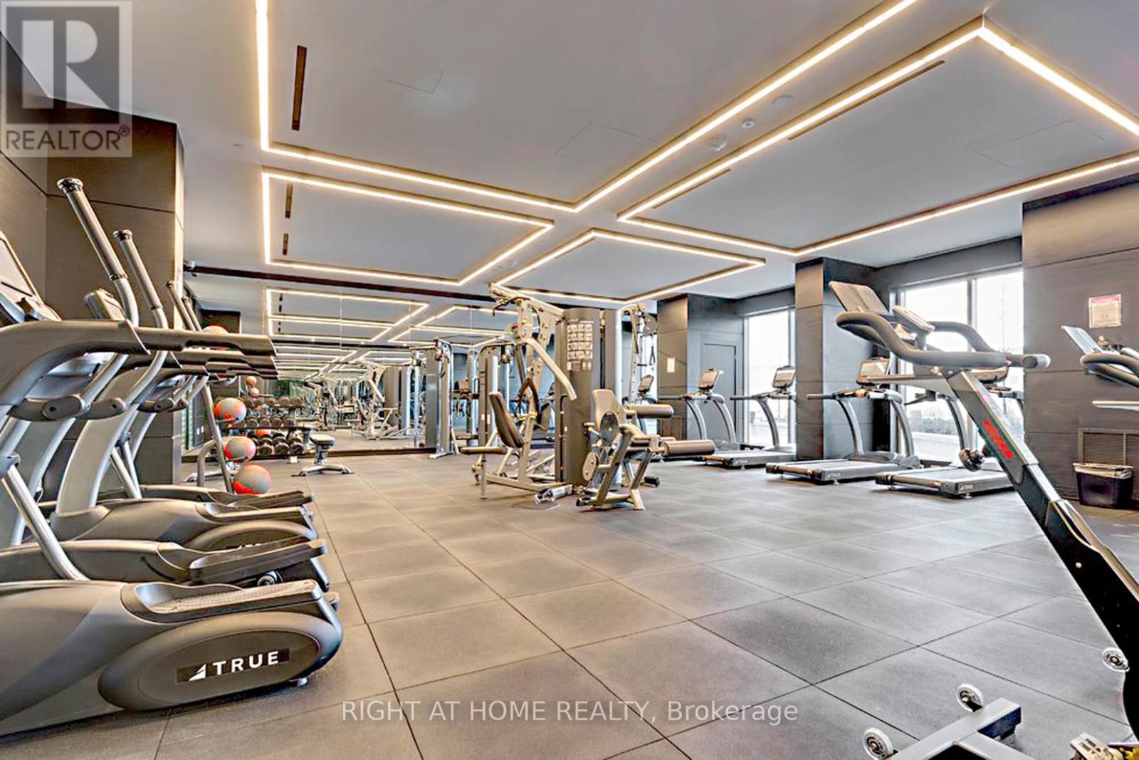 541 - 31 Tippet Road, Toronto, Ontario  M3H 0C8 - Photo 6 - C12018746