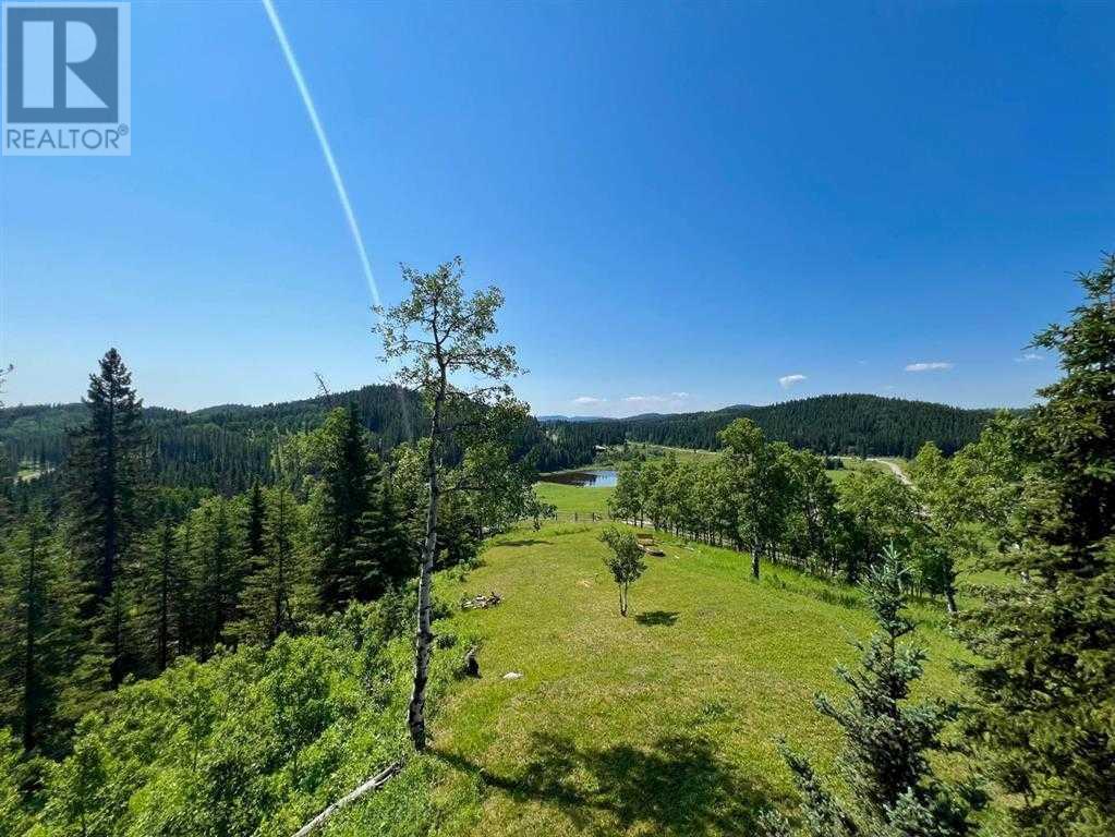 11 Black Bear Lane, Rural Foothills County, Alberta  T0L 0K0 - Photo 12 - A2217127