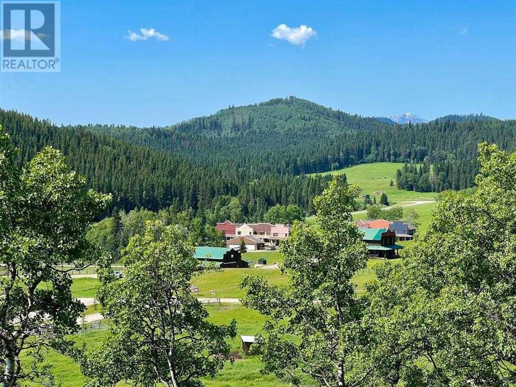11 Black Bear Lane, Rural Foothills County, Alberta  T0L 0K0 - Photo 17 - A2217127