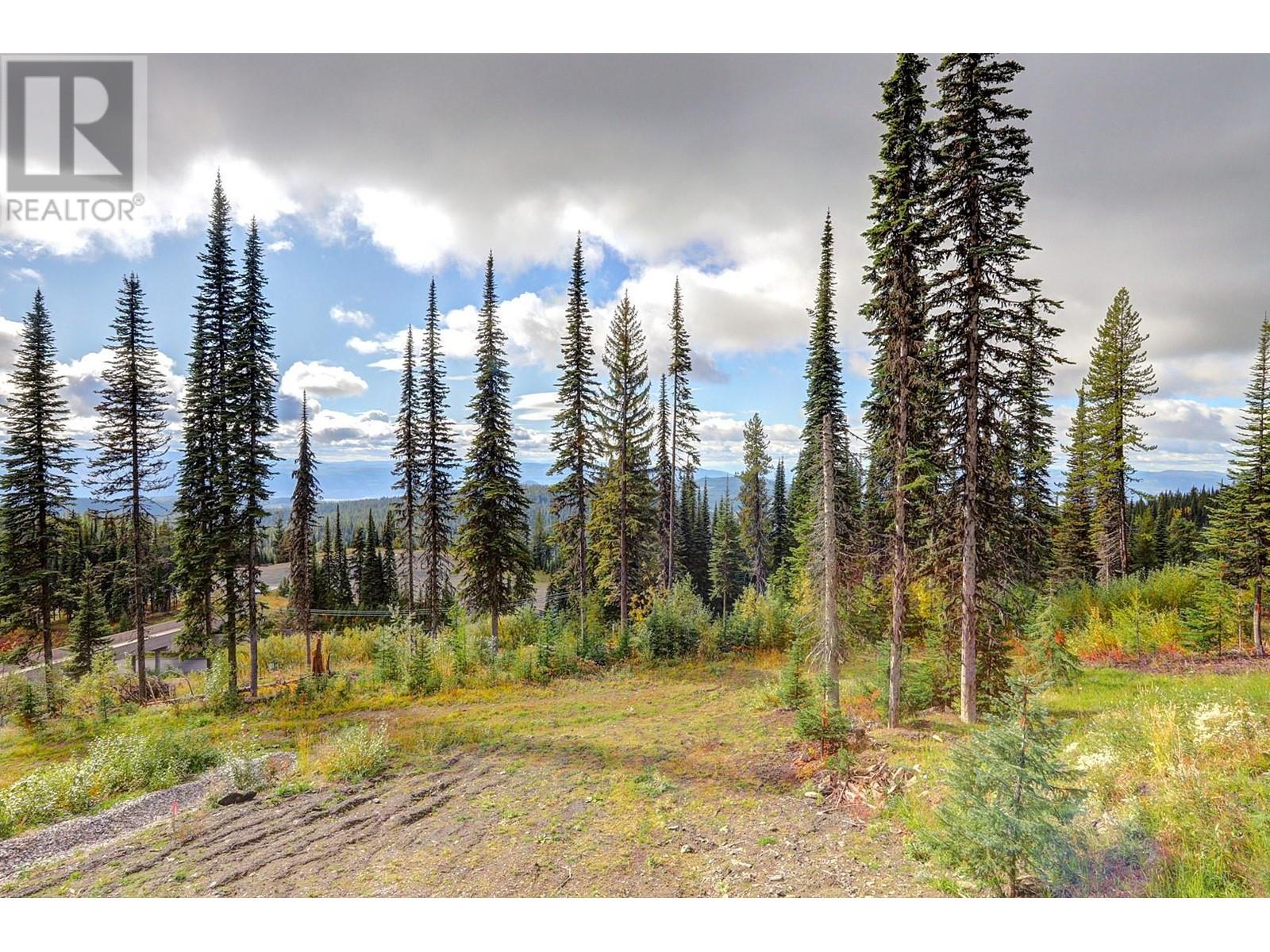 9893 Cathedral Drive, Silver Star, British Columbia  V1B 3M1 - Photo 29 - 10345891