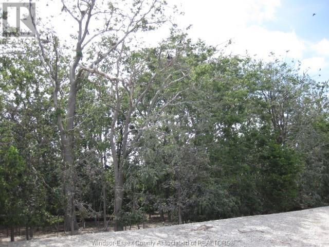 V/l Middle Sister Island, Pelee Island, Ontario  N0R 1M0 - Photo 16 - 25010908