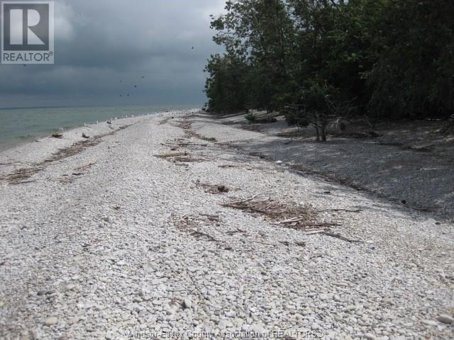 V/l Middle Sister Island, Pelee Island, Ontario  N0R 1M0 - Photo 17 - 25010908