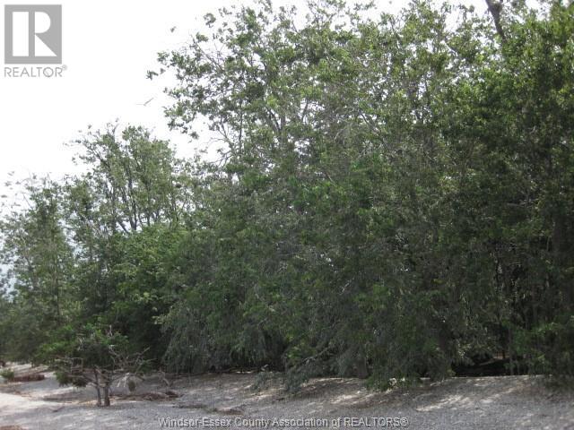 V/l Middle Sister Island, Pelee Island, Ontario  N0R 1M0 - Photo 18 - 25010908