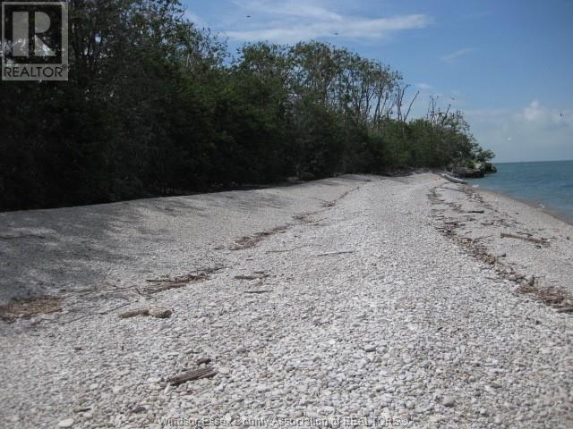 V/l Middle Sister Island, Pelee Island, Ontario  N0R 1M0 - Photo 15 - 25010908