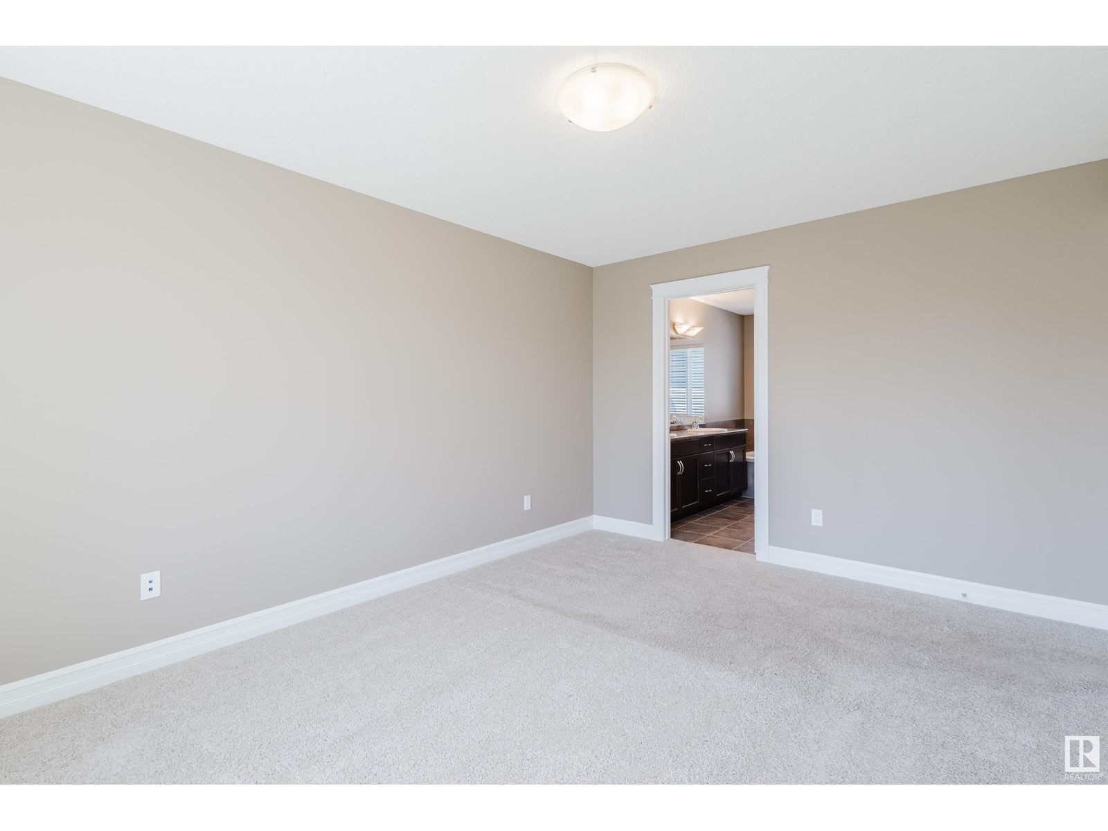 11321 13a Av Sw, Edmonton, Alberta  T6W 0G9 - Photo 29 - E4434088