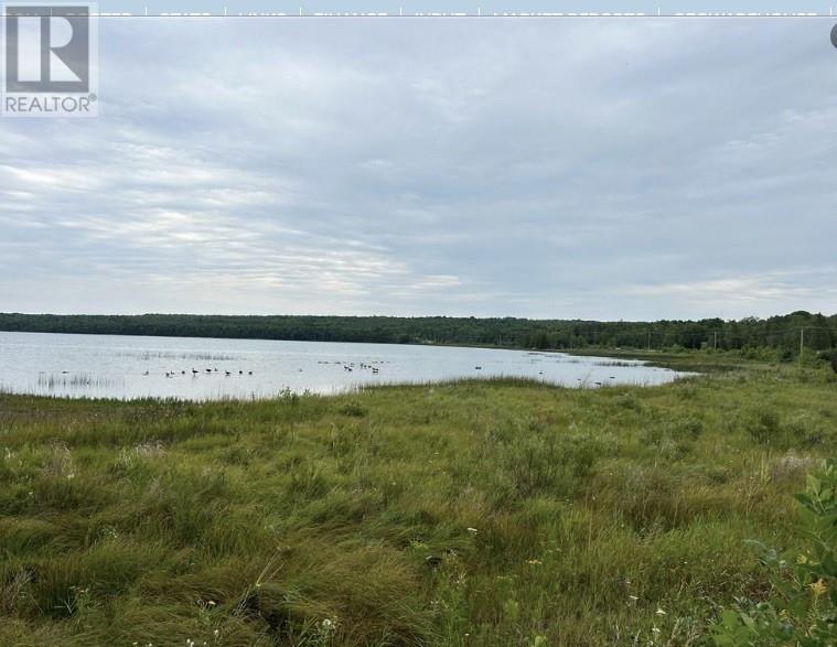 Lot 31 Cardwell Street, Manitowaning, Ontario  P0P 1N0 - Photo 5 - 2121981