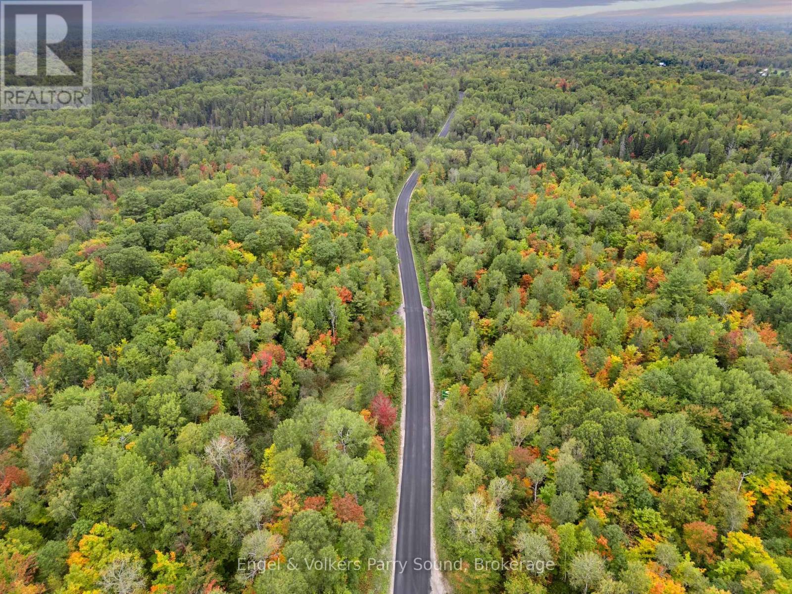 700 Bunny Trail, Whitestone, Ontario  P0A 1G0 - Photo 8 - X12120604