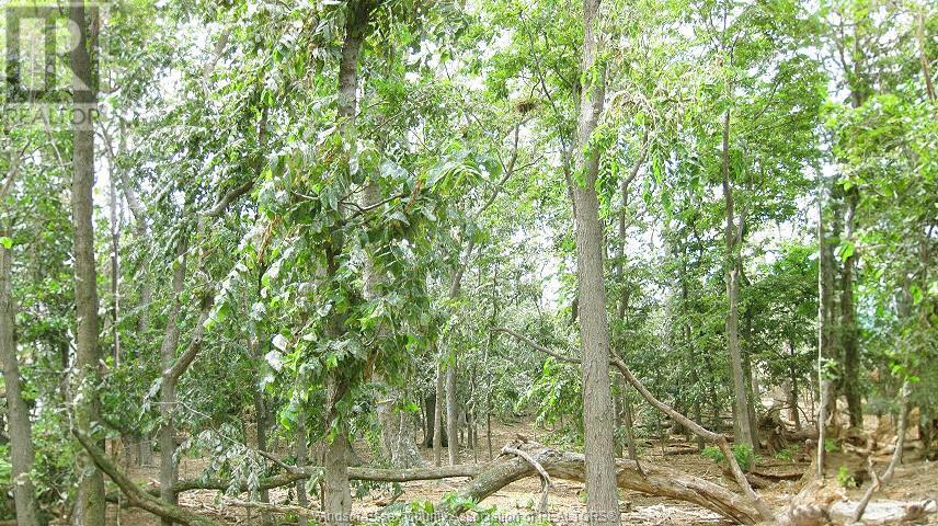 Property at V/L MIDDLE SISTER ISLAND image 4