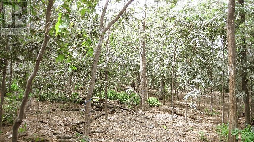 Property at V/L MIDDLE SISTER ISLAND image 3