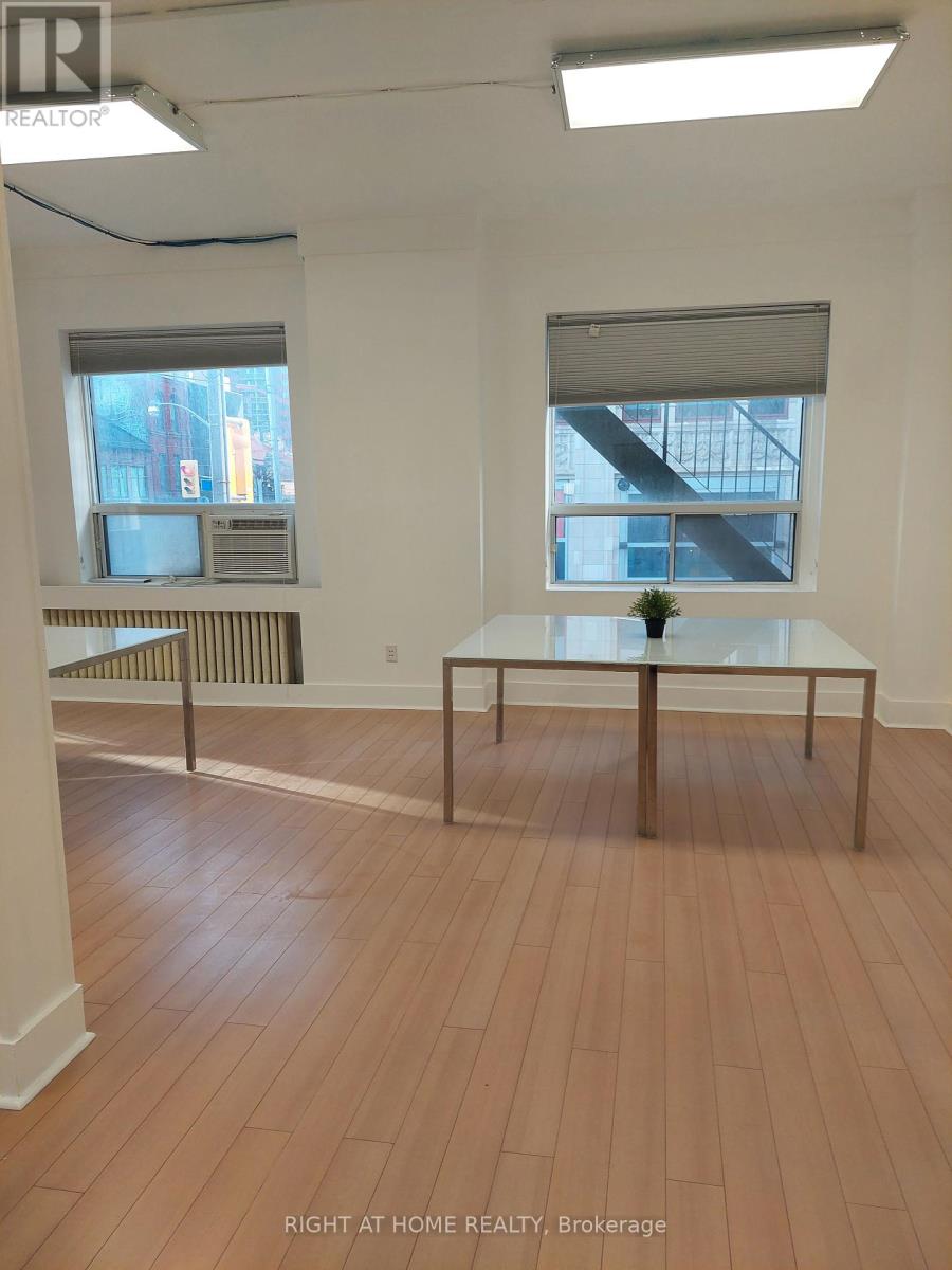 Suite #204 - 313 Queen Street W, Toronto, Ontario  M5V 2E5 - Photo 3 - C12054551