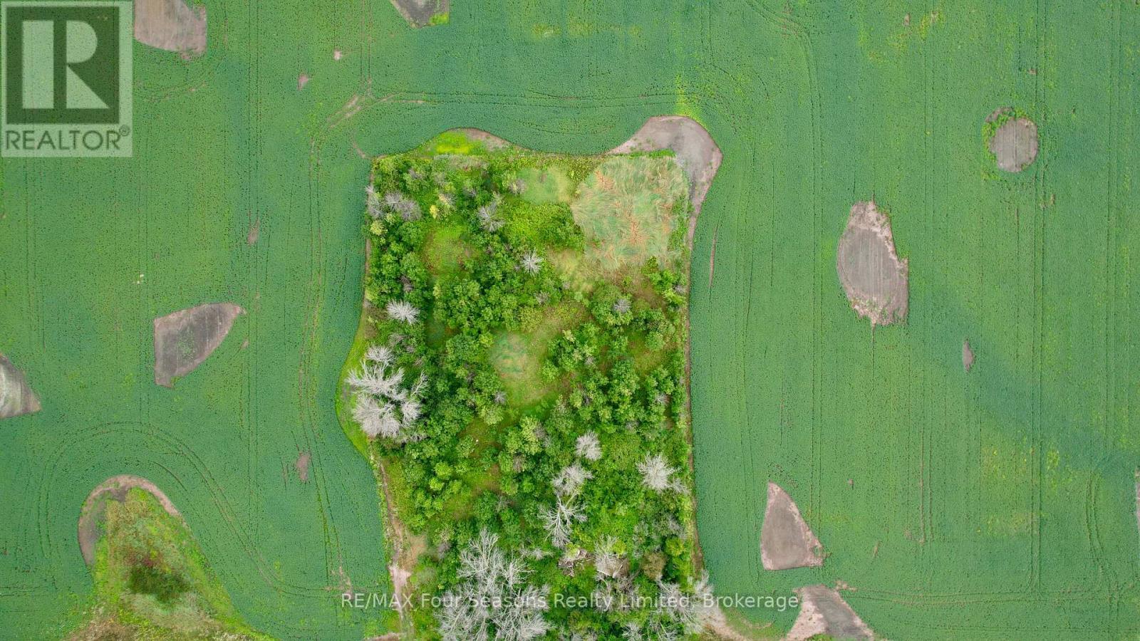 1356 Concession Road 10, Kincardine, Ontario  N2Z 2X6 - Photo 13 - X12081297