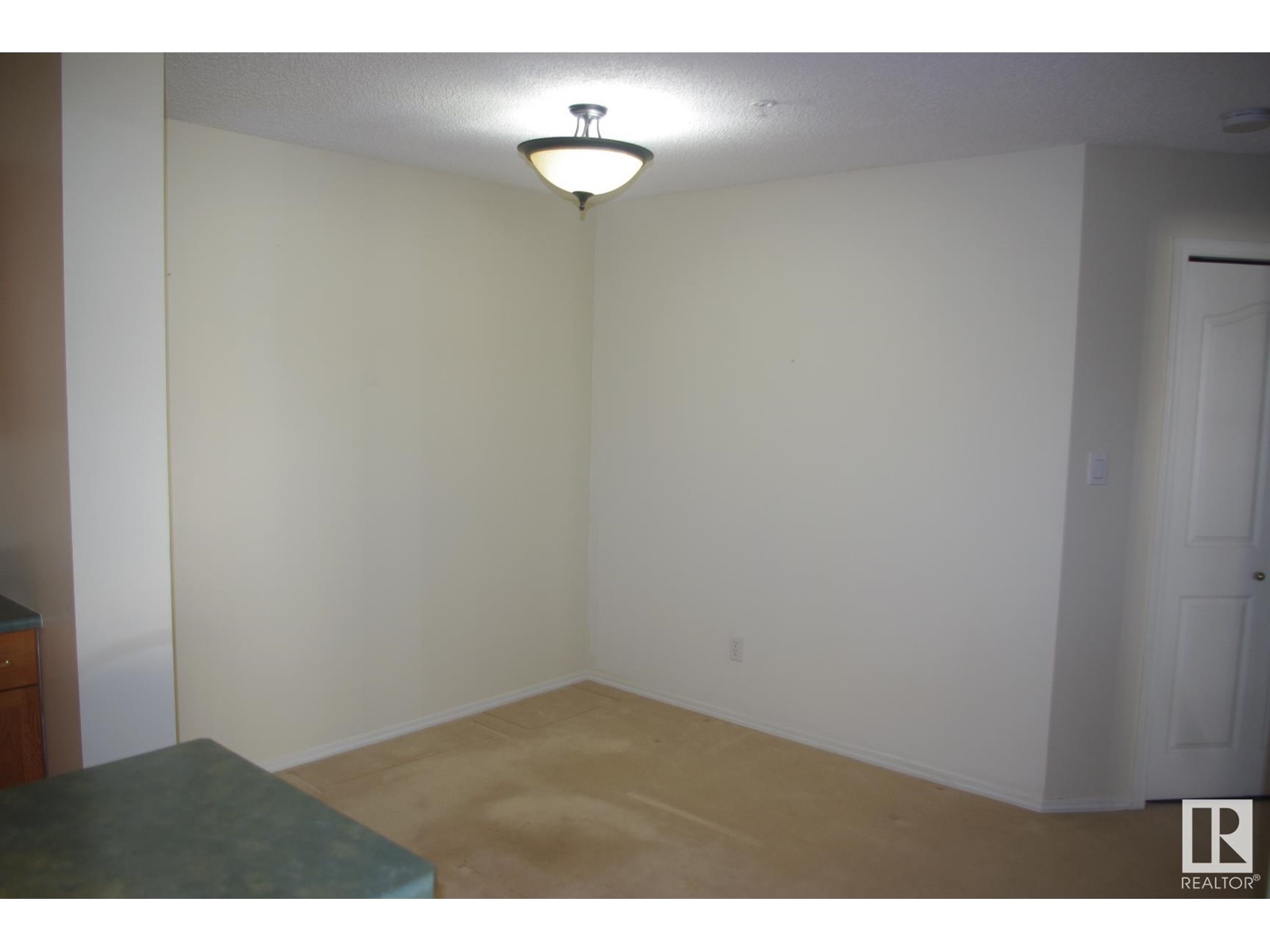 #312 10511 42 Av Nw, Edmonton, Alberta  T6J 7G8 - Photo 8 - E4434084