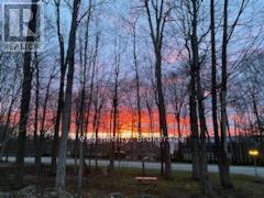 171 Ashgrove Lane, Meaford, Ontario  N0H 1B0 - Photo 47 - X12120634