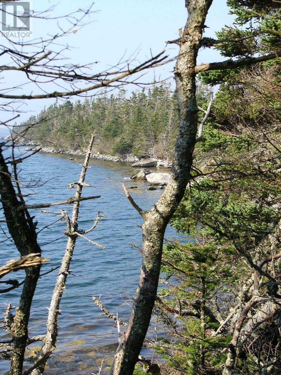 Hartlings Island, Ecum Secum, Nova Scotia  B0J 2K0 - Photo 18 - 202509687