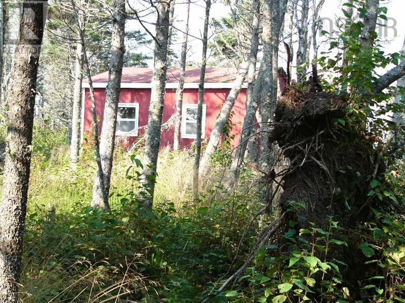 Hartlings Island, Ecum Secum, Nova Scotia  B0J 2K0 - Photo 27 - 202509687
