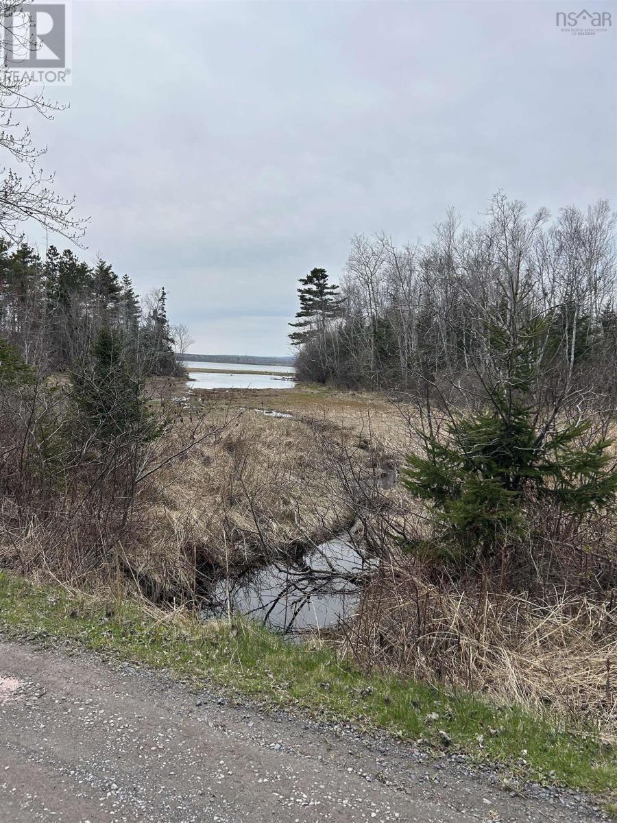 Lot Kenneth Point Road, Caribou Island, Nova Scotia  B0K 1H0 - Photo 3 - 202509614