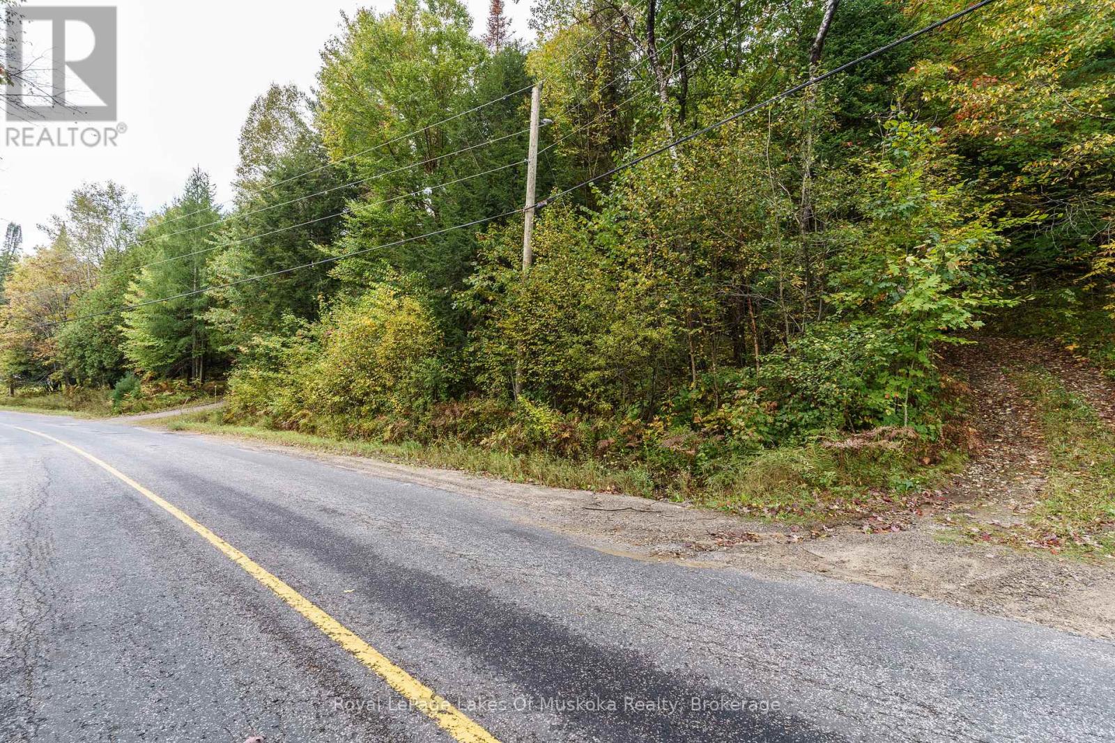 1059 Livingstone Lake Road, Algonquin Highlands, Ontario  P0A 1E0 - Photo 15 - X12120943
