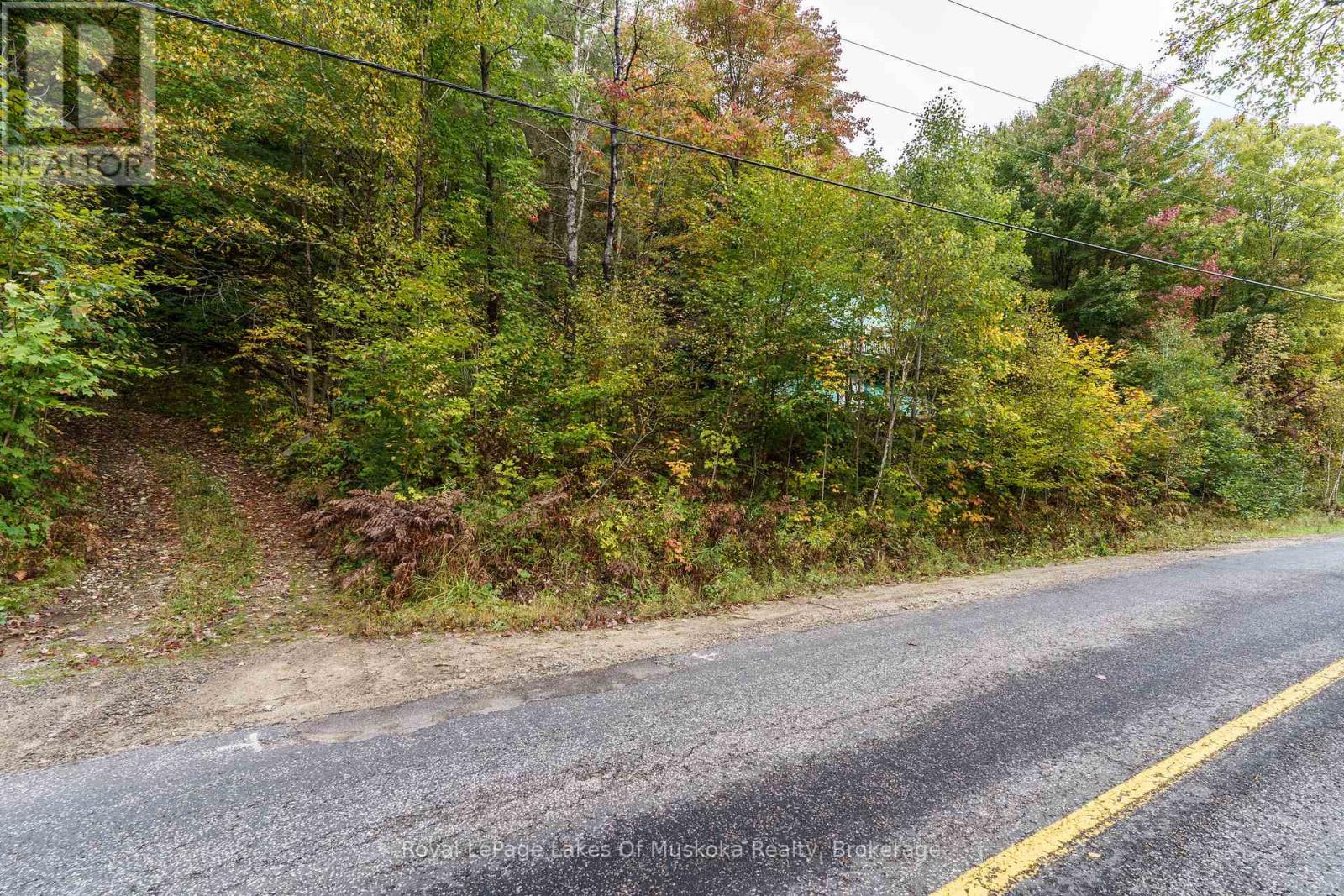 1059 Livingstone Lake Road, Algonquin Highlands, Ontario  P0A 1E0 - Photo 16 - X12120943