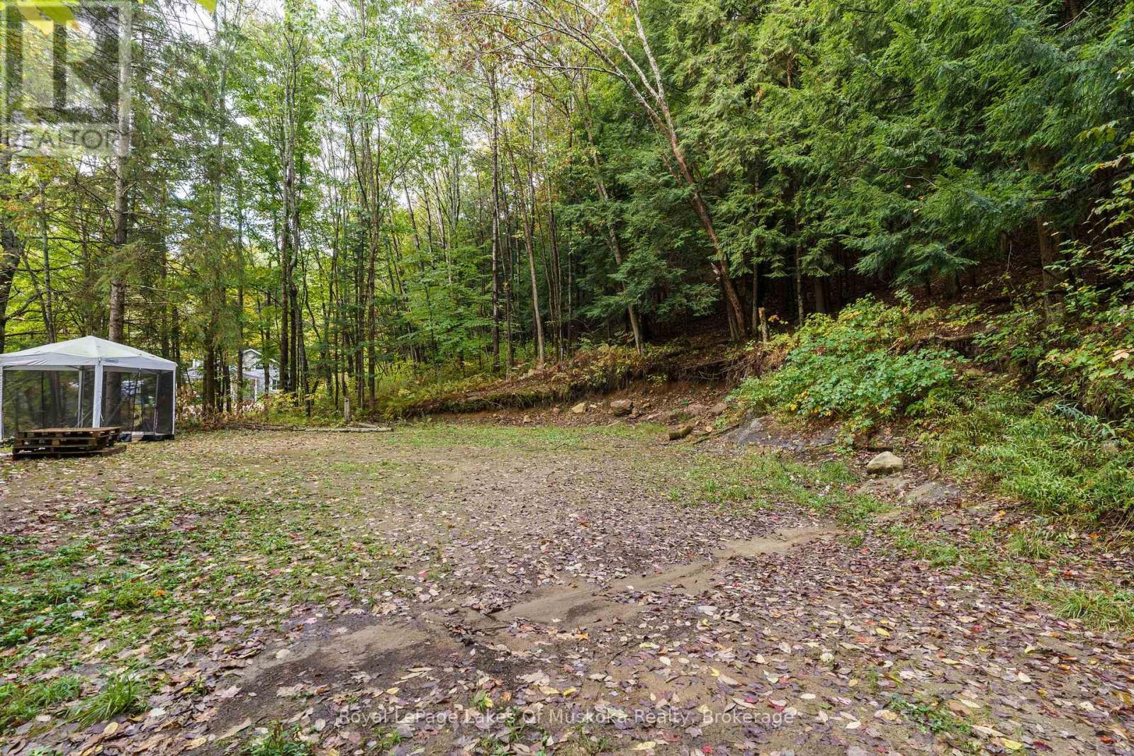 1059 Livingstone Lake Road, Algonquin Highlands, Ontario  P0A 1E0 - Photo 3 - X12120943