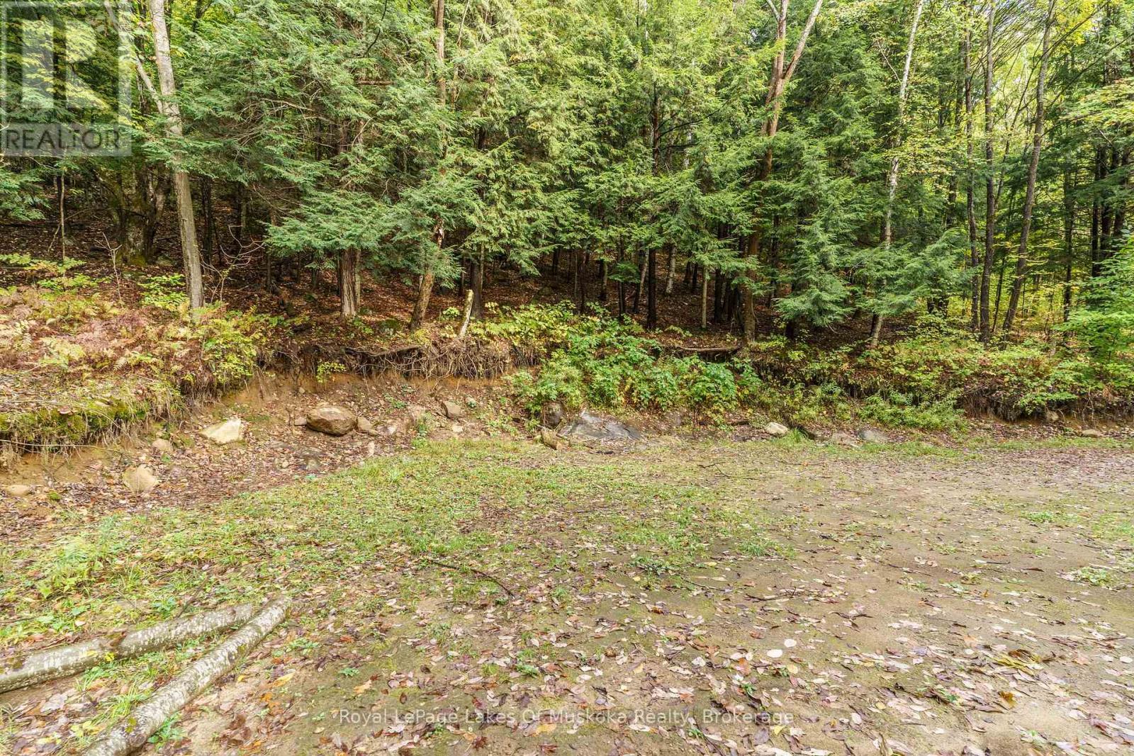 1059 Livingstone Lake Road, Algonquin Highlands, Ontario  P0A 1E0 - Photo 4 - X12120943