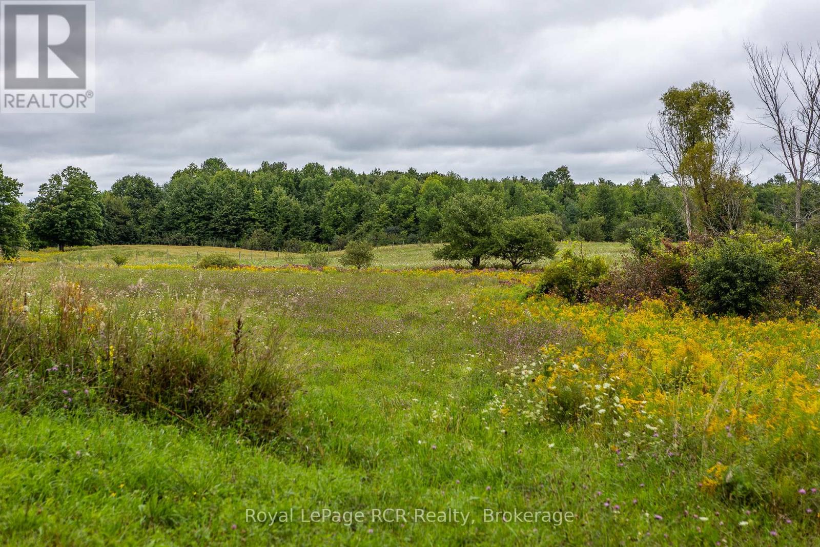 797139 East Back Line, Chatsworth, Ontario  N0H 1R0 - Photo 22 - X12121014