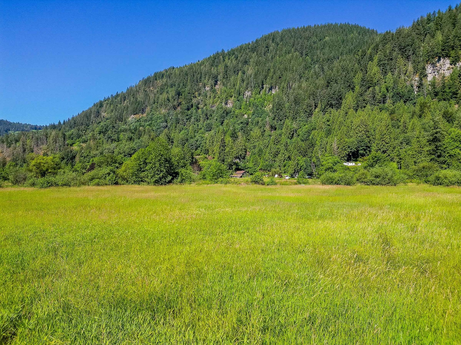 11584 Stave Lake Road, Mission, British Columbia  V2V 4J1 - Photo 5 - R2997547