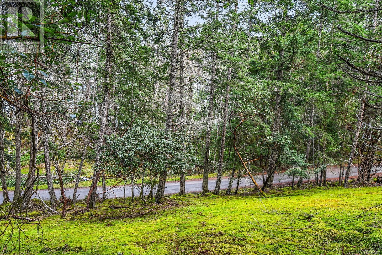 505 Cardale Rd, Decourcy Island, British Columbia  A1A 1A1 - Photo 13 - 992279