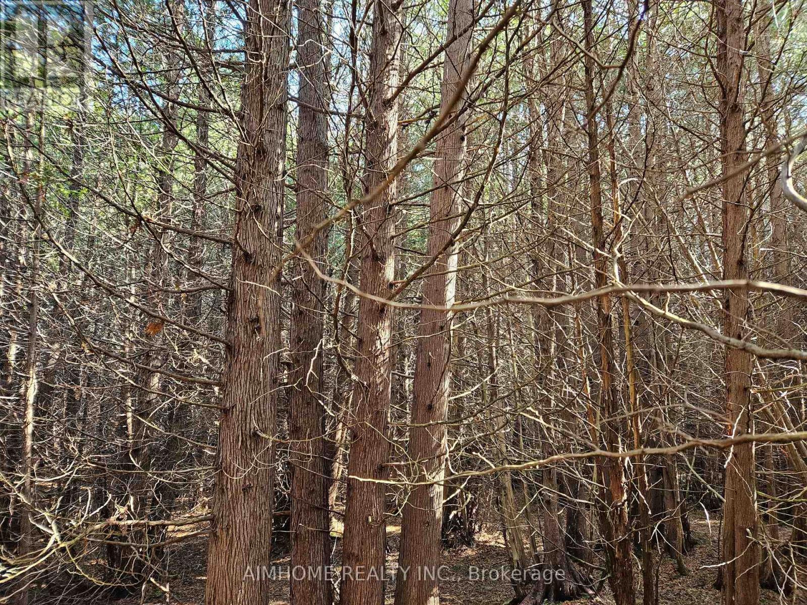 10400 And 10800 6th Concession, Uxbridge, Ontario  L9P 1R2 - Photo 37 - N12081335