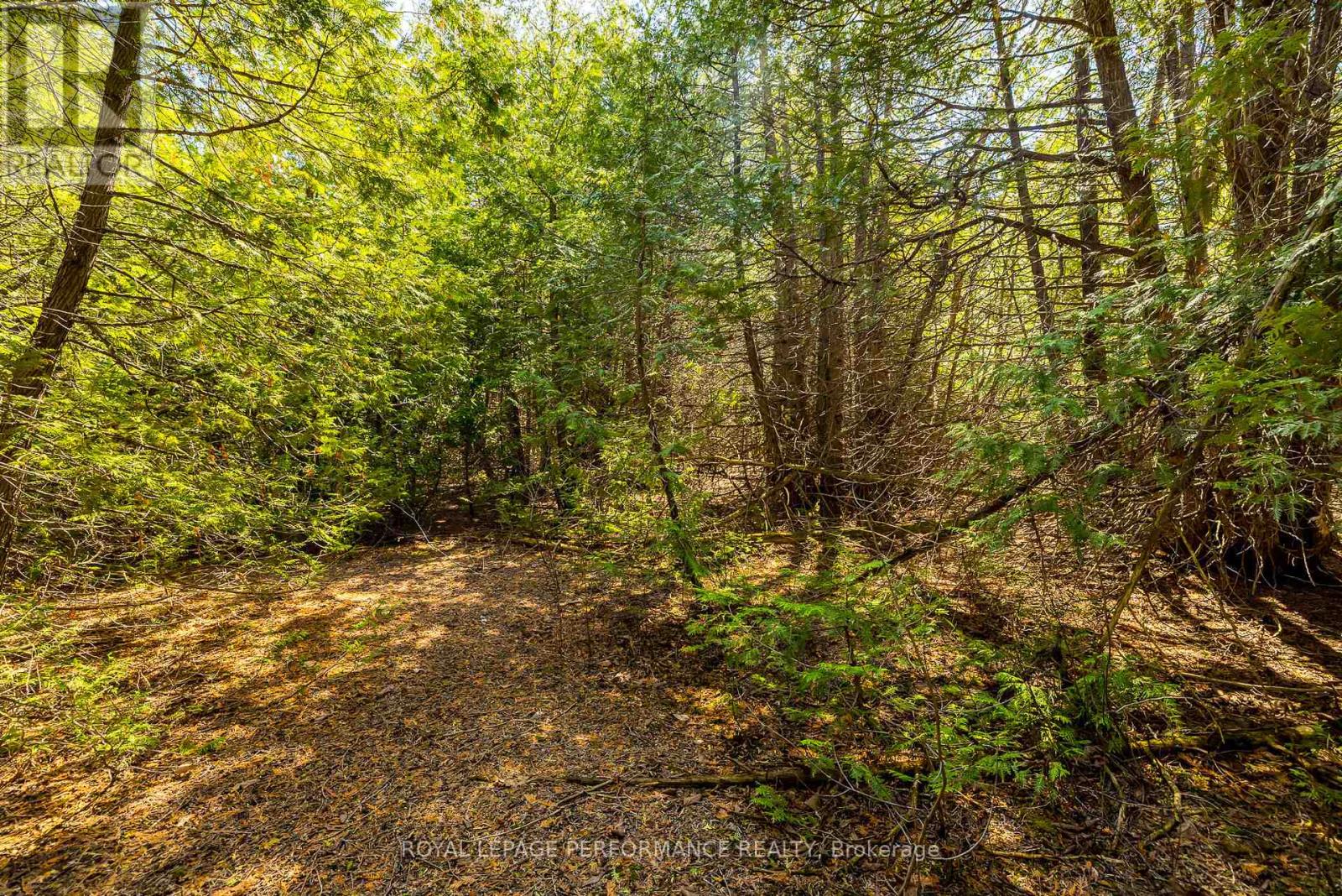 7940 Iveson Drive, Ottawa, Ontario  K0A 2P0 - Photo 13 - X12121250